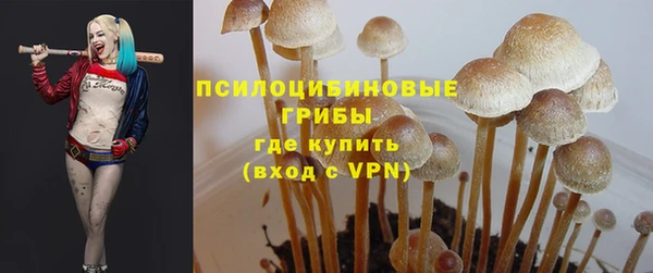 дживик Абинск