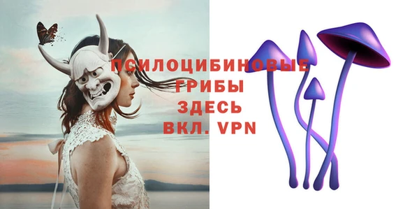 дживик Абинск