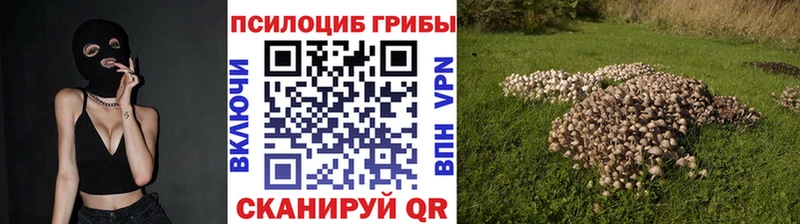 mega зеркало  Галич  Галлюциногенные грибы Magic Shrooms 